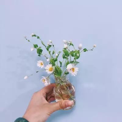 快3大小单双平台